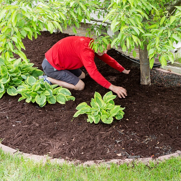 we offer mulch installation for both residential and commercial properties